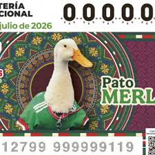Lotería Nacional Hoy