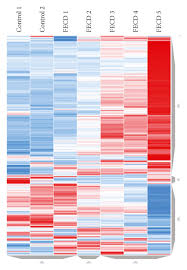 Image result for bioinformatics heatmap