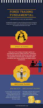 Introduction To Forex Fundamental Analysis Fundamental Analysis Forex Forex Trading