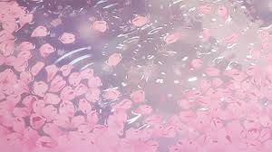 Over 40,000+ cool wallpapers to choose from. 32 Anime Pink Wallpaper Gif Orochi Wallpaper