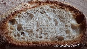 Le calorie generate dalla stessa quantità di farina 00 di frumento sono praticamente identiche, pertanto la farina di manitoba fa ingrassare tanto quanto la farina a cui siamo normalmente abituati. Farina Manitoba Questa Sconosciuta Pasta Madre Lover Pane A Lievitazione Naturale E Nozioni Di Arte Bianca