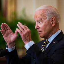 Image result for Bidens schimperi