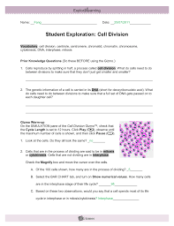 Some of the worksheets for this concept are answer key to gizmo cell energy cycle, cell division answers biology, cell division mitosis answer keys, cell structure answer key, student exploration. Student Exploration Sheet Growing Plants Aiss Science 9