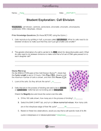 The strength that helps us be successful comes from picking a the best decisions and powerful. Student Exploration Sheet Growing Plants Aiss Science 9