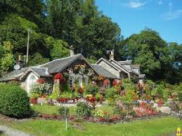The Complete Cost Of A Garden Renovation The Irish League Of Credit Unions