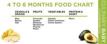 4 6 Month Baby Food Chart 6 Month Baby Food Baby Food
