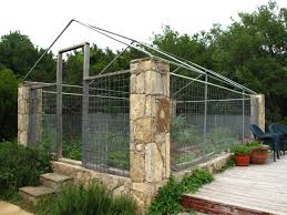 Enclosed Vegetable Garden Fenced Vegetable Garden Spring Vegetable Garden Vegetable Garden Boxes