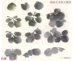 圖文教程 月季花的寫意畫法 zi 字媒體 plants rose grapes