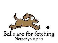 I've already checked the several threads on the subject of spay and neuter. 15 Spay And Neuter Quotes Ideas Neuter Spay Animal Rescue