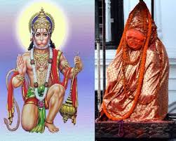 Hinduism is the largest religion in the indian subcontinent and third largest religion in the world. Sacred Hindu Animals Allcreation Org