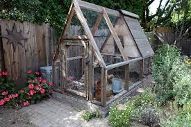 As chickens are entirely outdoor animals, they require sturdy housing that is resistant to both the elements and dangerous predators. Backyard Chicken Coops Strut Their Stuff Davis Enterprise