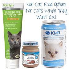 High Calorie Alternatives To Hills A D For Feeding Your Underweight Cat Calorie Canned Cat Food Cats