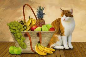 Surely, you don't want to give your cat diarrhea, so it's best to only feed your cat a small amount of fruit at a time. Can Cats Eat Bananas Are Bananas Good For Cats