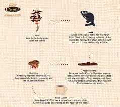 Kopi Luwak Is A Coffee It Is The World S Most Expensive And Rare Coffee Ever Existed Coffee Poster Kopi Luwak Coffee Kopi