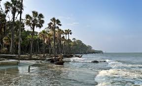 A short walk up cabin road, you'll find access to the edisto beach state park trails, the state's longest system of wheelchair accessible hiking and biking trails. Rv Camping In Hunting Island State Park Cruise America