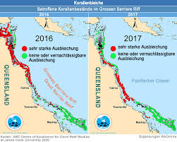 Many generations of dead coral have built themselves into great walls of stone covered in a diverse range of living. Raonline Edu Korallenriffe Und Atolle Korallen Der Klimawandel Verandert Das Grosse Barriere Riff