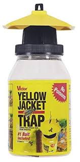 Delta dust controls for the following insects and pests: 110 Best Pest Control Traps Ideas Pest Control Traps Pest Control Pests