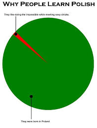 Pin By Catherine Szmidt On Polish Humour Polish Memes Got Memes History Humor