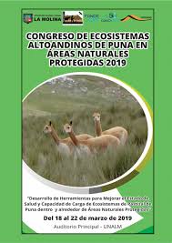 We did not find results for: Congreso De Ecositemas Altoandinos De Puna By Erickgaray Issuu