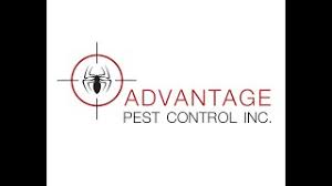 Bug busterzzz is the #1 augusta, waterville, brunswick & surrounding areas pest control read our reviews and see what customers have to say about us. Advantage Pest Control