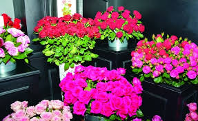 ورود طبيعية في أبوظبي تبقى 3 سنوات بلا ماء أو شمس الاقتصادي الصفقة الأخيرة البيان