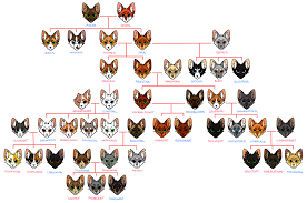 The Official Canon Warriors Cat Family Tree As Of A Vision Of Shadows Arc Warrior Cats Books Warrior Cats Funny Warrior Cats Art