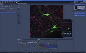 Https Confocal Bwh Harvard Edu Documents Zenfullguide Pdf