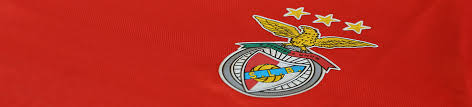 Terms And Conditions Sl Benfica