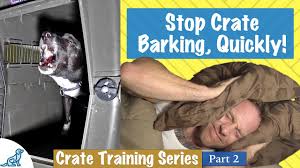 Check spelling or type a new query. How To Crate Train Your Dog Lovetoknow