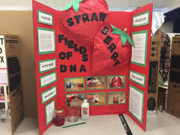 Pin On Sience Fair Projects