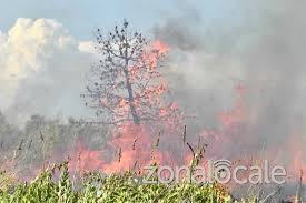 Prorogata allerta massima in sardegna. Ennesimo Incendio Dietro La Stazione E Litigi Ferragosto Di Lavoro Per Forze Dell Ordine E 115 Interventi Sul Litorale In Nottata E Oggi Pomeriggio