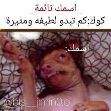 تس لـل الحب لقلب الز عـيم الأقوى جاعلا منه عاشقا و يالحظه فمعشوقه ه action action amreading funny profile pictures funny picture jokes funny photo memes