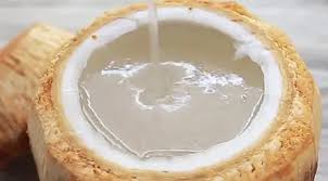 Pjj jelly kelapa rm35 rm35 s a kelas pjj online. Resep Degan Jelly Kekinian Lifestyle Fimela Com