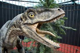 A raptor in real life that vaguely resembles the dinosaurs in the film is the newly discovered velociraptor , like all of the dinosaurs, was created by ingen scientists inside a compound on isla. Hd Wallpaper Dinos Velociraptor Raptors Dinosaur One Animal Animal Themes Wallpaper Flare