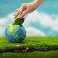 Going Green without Going Broke