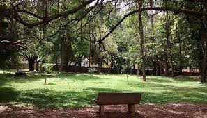 See more ideas about prewedding outdoor, wedding photos, wedding photography. 15 Pre Wedding Photoshoot Locations In Bangalore In 2021