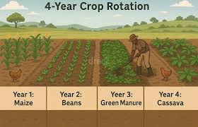 how to improve soil for farming