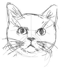 Here It Comes Sean Of The South Cat Drawing Tutorial Art Drawings Sketches Drawings
