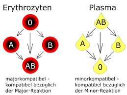 Infos zu blutspende und coronavirus. Universalspender Und Universalempfanger Wikipedia