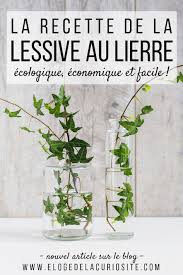 La Recette De La Lessive Au Lierre Ecologique Facile Et Faite Maison Eloge De La Curiosite Recette De Lessive Lessive Lierre