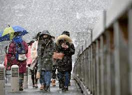 Oleh itu, jika anda ke sini, anda dapat menikmati kecantikan latarbelakang musim sejuk tanpa gangguan orang ramai. Jepun Dilitupi Salji Tebal