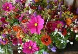 We did not find results for: Charlotte S Fiesta Flowers 4404 Burnet Rd Austin Tx 78756 Yp Com