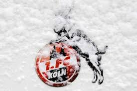 Fc köln fc koeln lustige zitate und sprüche fussball stadt schöne hintern. 1 Fc Koln Archive Kolsche Ziege