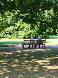 Entfernung der haltestelle für menschen mit behinderung zum eingangsbereich: Britzer Garten Guide For Berlin