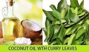 Apply to your wet hair and scalp. Use Curry Leaves For White Hair Grey Hair Recipes And Benefits Of Kadi Patta