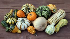 Made with real beef rind appreciation day. 12 Fall Foods To Eat Now