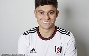 Fulham sign Dan James from Leeds