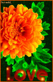 Beautiful shimmering bouquet of roses. Animated Gif Images Of Flowers Google Flower Images Animation Animated Gif