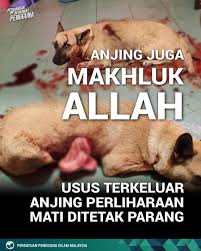 Dia hina guild ku sini maju подробнее. Muhammad Faiz Razali Jasin Kejam Itulah Gambaran Terhadap Seorang Lelaki Yang Tergamak Membunuh Kejam Seekor Anjing Jirannya Hingga Perut Terburai Dalam Kejadian Di Taman Maju Di Sini Khamis Lalu Dalam