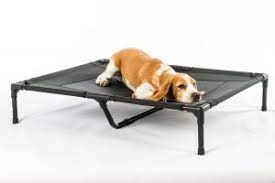 We did not find results for: Chew Proof Dog Bed Indestructible Crates Dogsrecommend